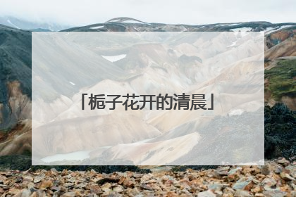 栀子花开的清晨