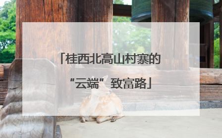 桂西北高山村寨的“云端”致富路