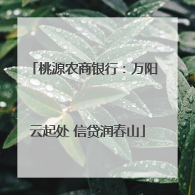 桃源农商银行：万阳云起处 信贷润春山