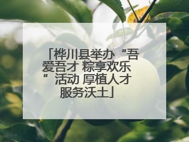 桦川县举办“吾爱吾才 粽享欢乐”活动 厚植人才服务沃土