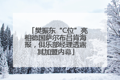 樊振东“C位”亮相德国萨尔布吕肯海报，俱乐部经理透露其加盟内幕