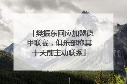 樊振东回应加盟德甲联赛，俱乐部称其十天前主动联系