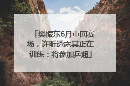 樊振东6月重回赛场，许昕透露其正在训练：将参加乒超