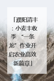濮阳清丰：小麦丰收季 “一条龙”作业开启农业高效新篇章