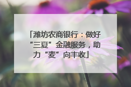 潍坊农商银行：做好“三夏”金融服务，助力“麦”向丰收