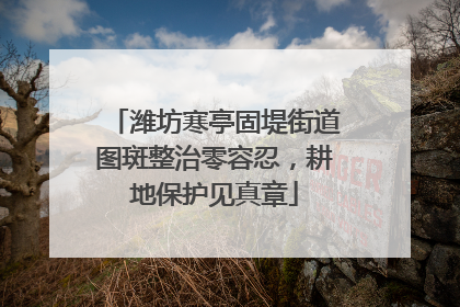 潍坊寒亭固堤街道图斑整治零容忍，耕地保护见真章
