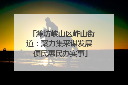 潍坊峡山区岞山街道：聚力集采谋发展 便民惠民办实事