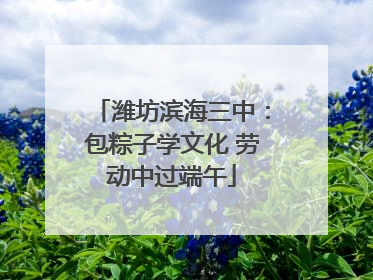 潍坊滨海三中：包粽子学文化 劳动中过端午