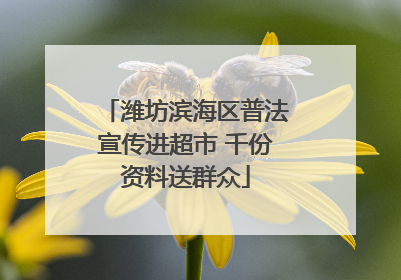 潍坊滨海区普法宣传进超市 千份资料送群众