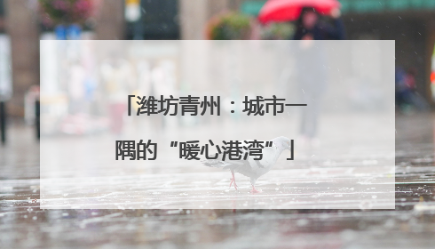 潍坊青州：城市一隅的“暖心港湾”