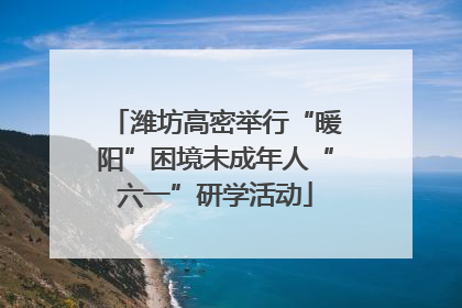 潍坊高密举行“暖阳”困境未成年人“六一”研学活动