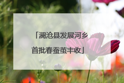 澜沧县发展河乡首批春蚕茧丰收