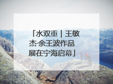 水双重｜王敏杰·余王波作品展在宁海启幕