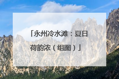 永州冷水滩：夏日荷韵浓（组图）