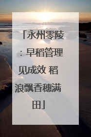 永州零陵：早稻管理见成效 稻浪飘香穗满田