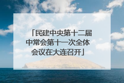 民建中央第十二届中常会第十一次全体会议在大连召开