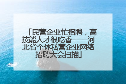 民营企业忙招聘，高技能人才很吃香——河北省个体私营企业网络招聘大会扫描