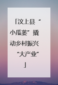汶上县“小瓜蒌”撬动乡村振兴“大产业”