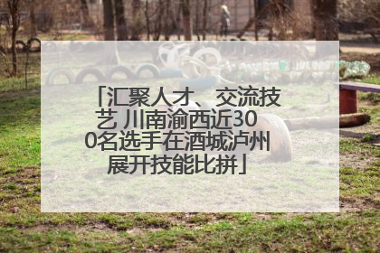 汇聚人才、交流技艺 川南渝西近300名选手在酒城泸州展开技能比拼