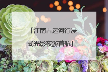 江南古运河行浸式光影夜游首航