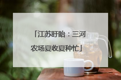 江苏盱眙：三河农场夏收夏种忙