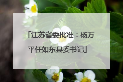 江苏省委批准：杨万平任如东县委书记