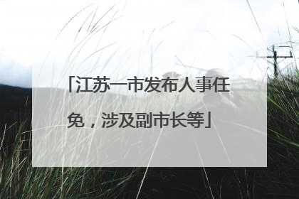 江苏一市发布人事任免，涉及副市长等