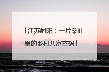 江苏射阳：一片桑叶里的乡村共富密码
