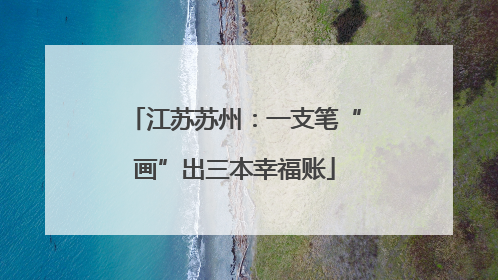 江苏苏州：一支笔“画”出三本幸福账