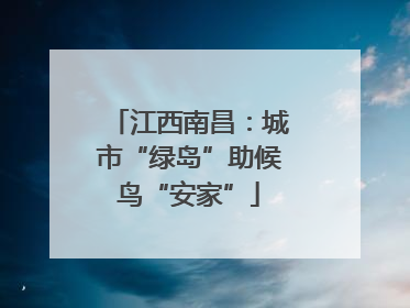 江西南昌：城市“绿岛”助候鸟“安家”