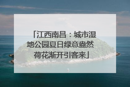 江西南昌：城市湿地公园夏日绿意盎然 荷花渐开引客来