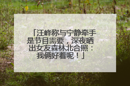 汪峰称与宁静牵手是节目需要，深夜晒出女友森林北合照：我俩好着呢！