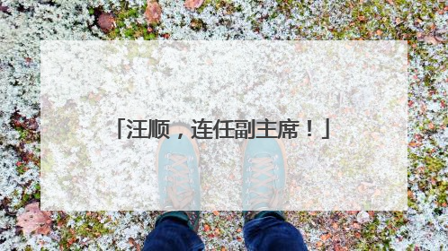 汪顺，连任副主席！