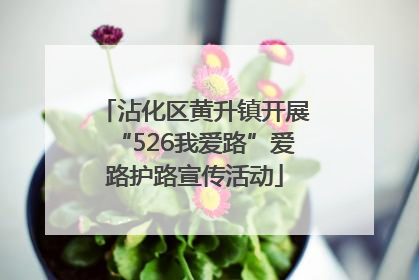 沾化区黄升镇开展“526我爱路”爱路护路宣传活动