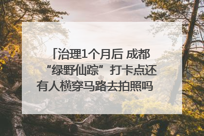 治理1个月后 成都“绿野仙踪”打卡点还有人横穿马路去拍照吗？｜民情瞭望