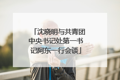 沈晓明与共青团中央书记处第一书记阿东一行会谈