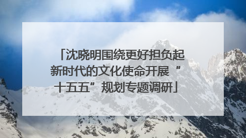 沈晓明围绕更好担负起新时代的文化使命开展“十五五”规划专题调研