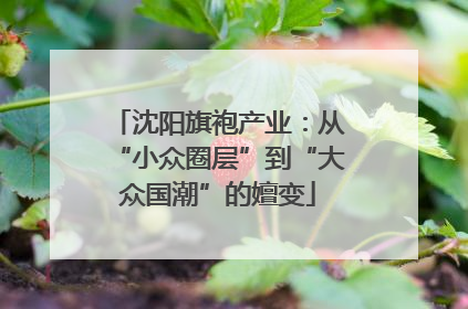 沈阳旗袍产业：从“小众圈层”到“大众国潮”的嬗变