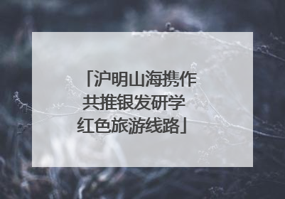 沪明山海携作 共推银发研学红色旅游线路