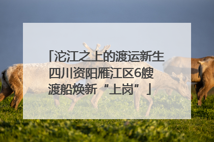 沱江之上的渡运新生 四川资阳雁江区6艘渡船焕新“上岗”