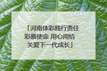 河南体彩践行责任彩票使命 用心用情关爱下一代成长