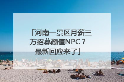 河南一景区月薪三万招募颜值NPC？最新回应来了