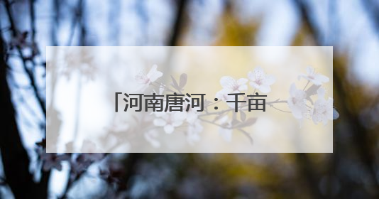 河南唐河：千亩油蟠桃喜丰收