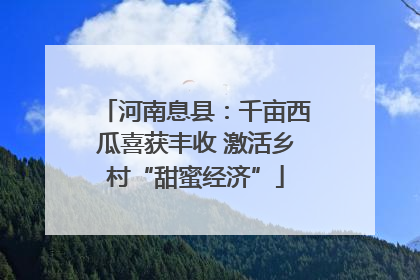 河南息县：千亩西瓜喜获丰收 激活乡村“甜蜜经济”