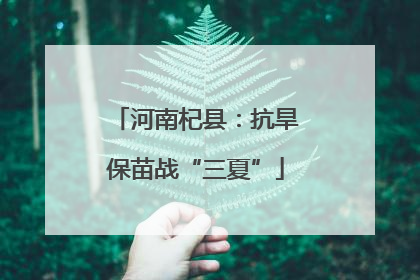 河南杞县：抗旱保苗战“三夏”