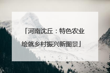 河南沈丘：特色农业绘就乡村振兴新图景