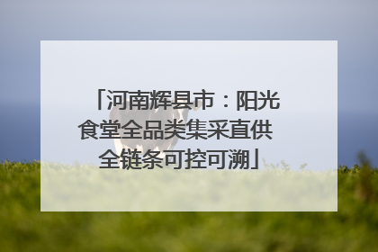 河南辉县市：阳光食堂全品类集采直供 全链条可控可溯