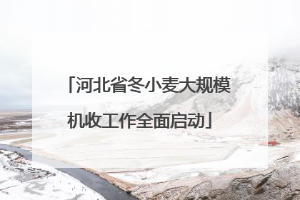 河北省冬小麦大规模机收工作全面启动