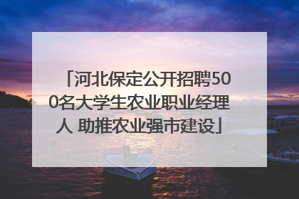 河北保定公开招聘500名大学生农业职业经理人 助推农业强市建设
