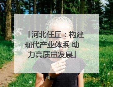 河北任丘：构建现代产业体系 助力高质量发展